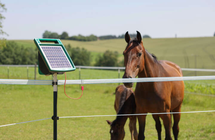 AKO Weidezaunseil PlatinumLine